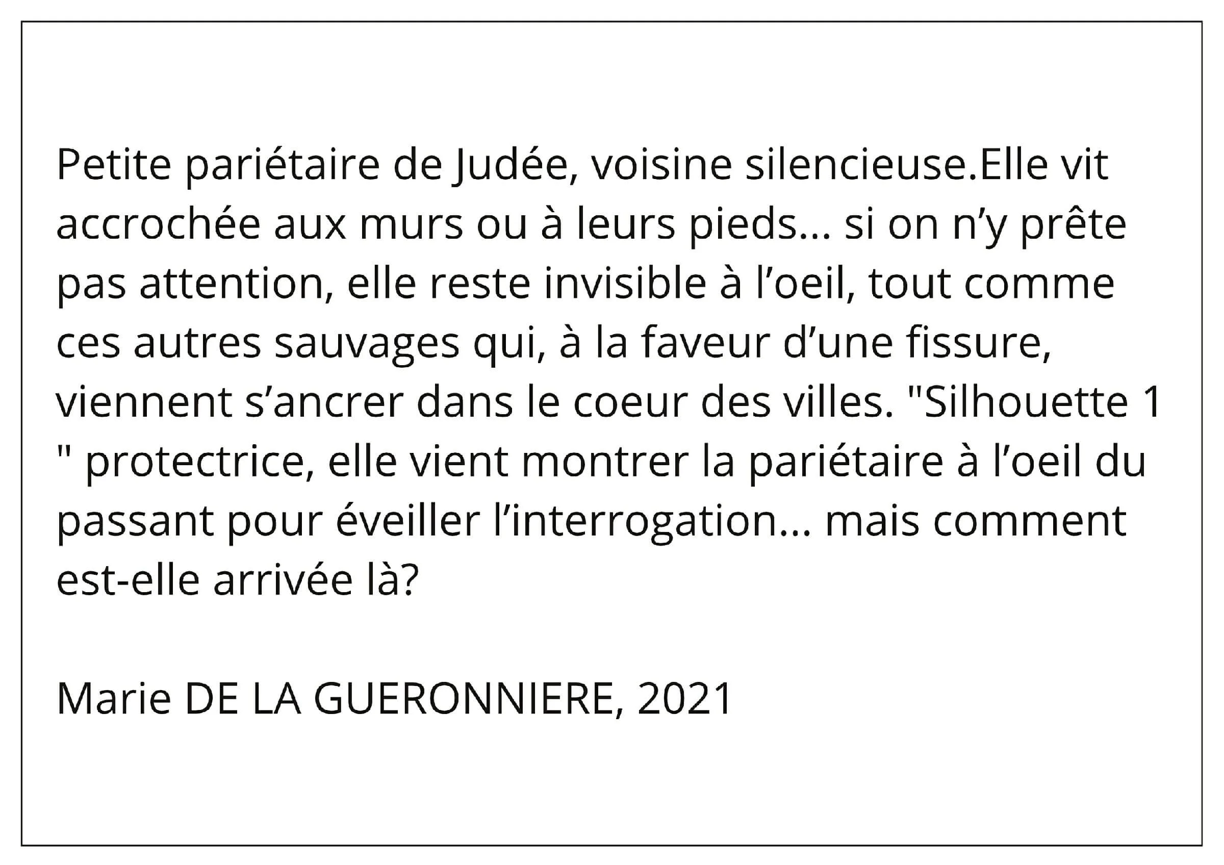 Texte "Silhouette" 1 Marie de la Guéronnièrre