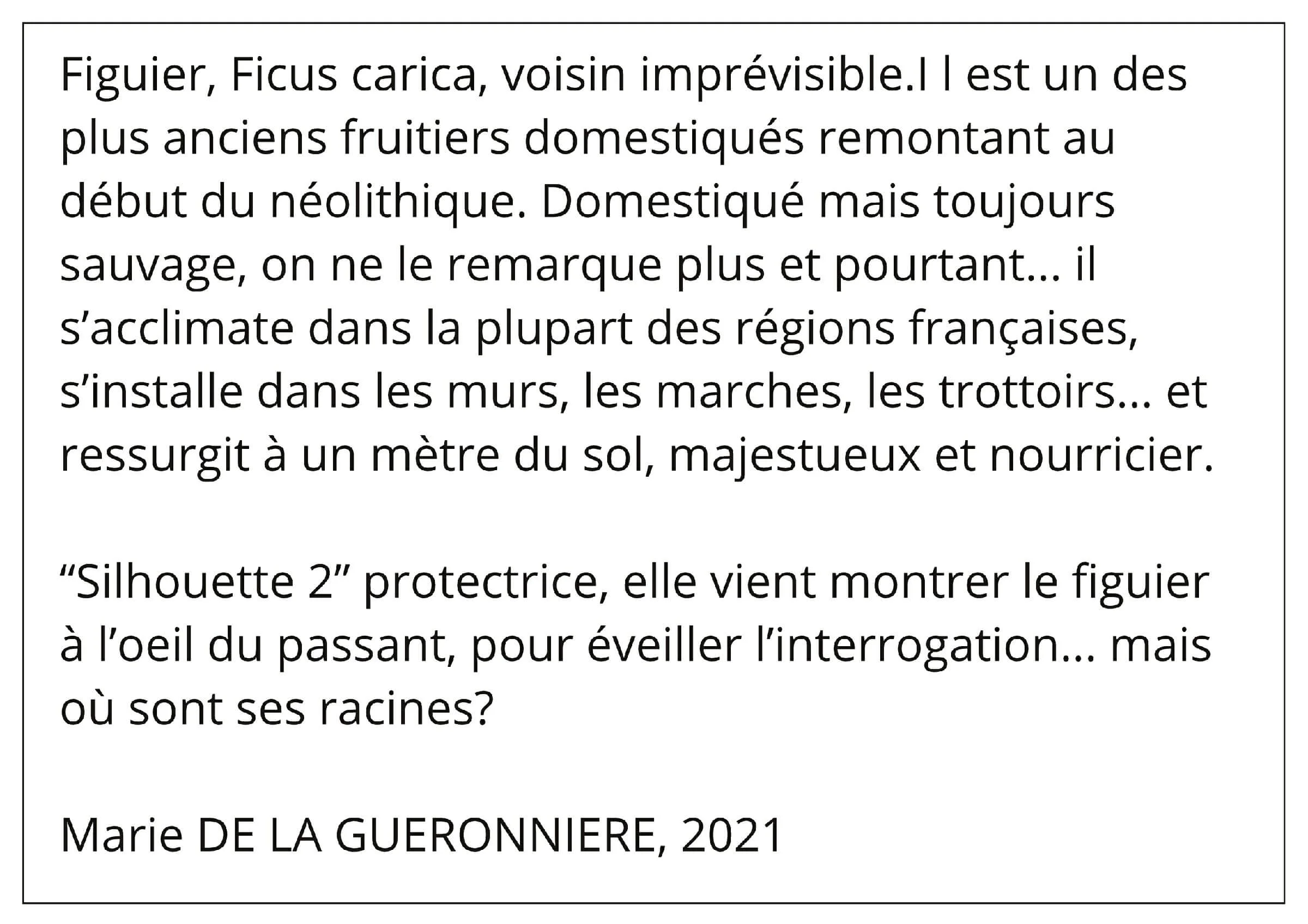 Texte "Silhouette" 2 Marie de la Guéronnièrre