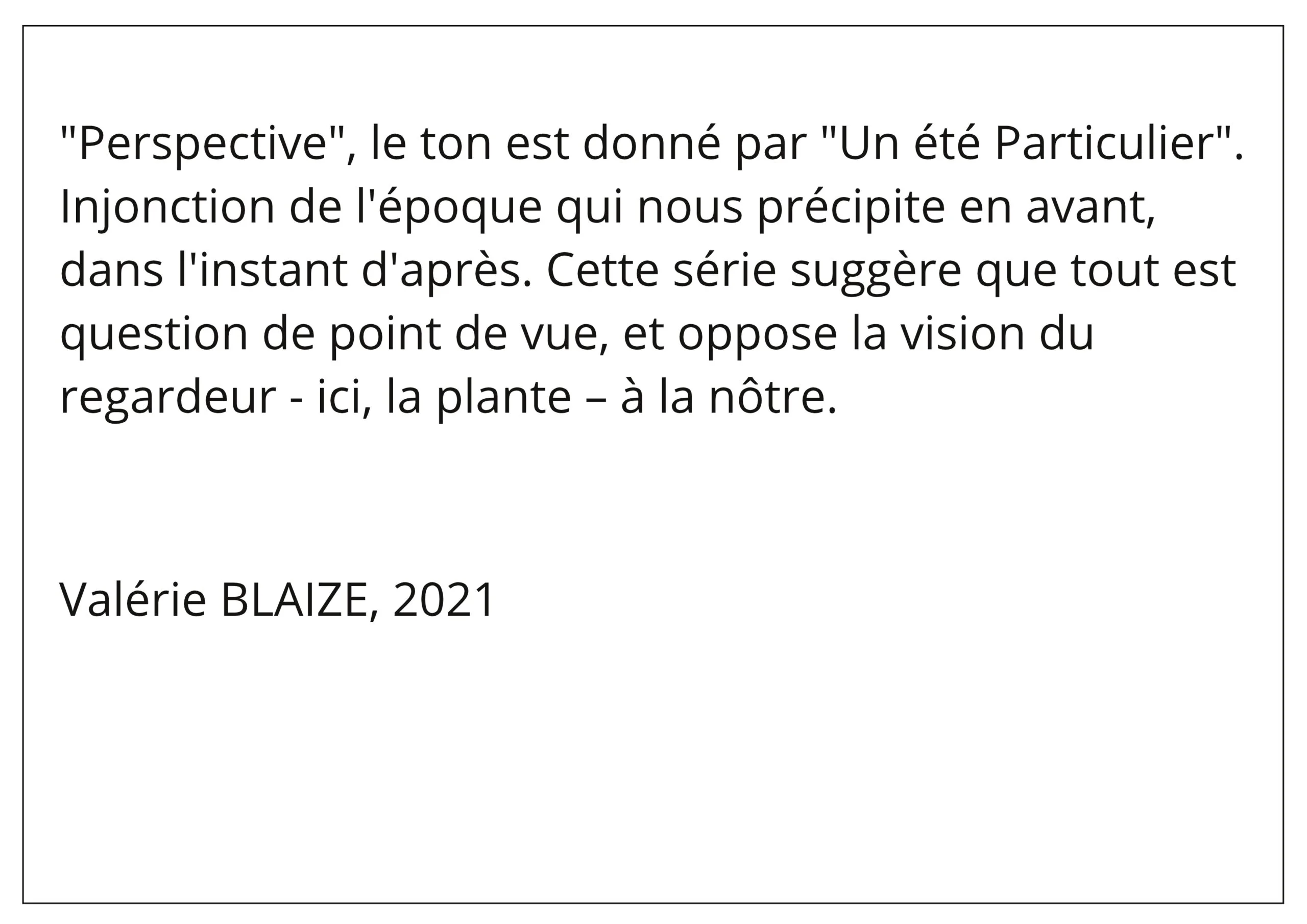 Texte Points de vue