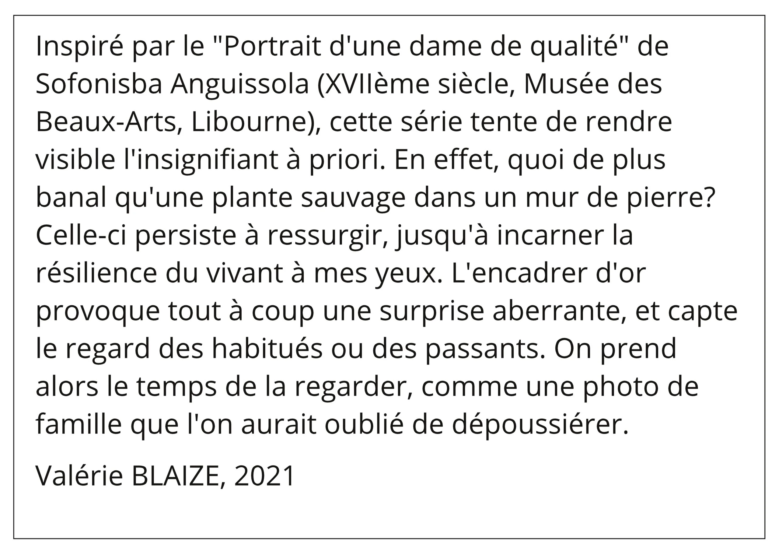 Texte Portraits