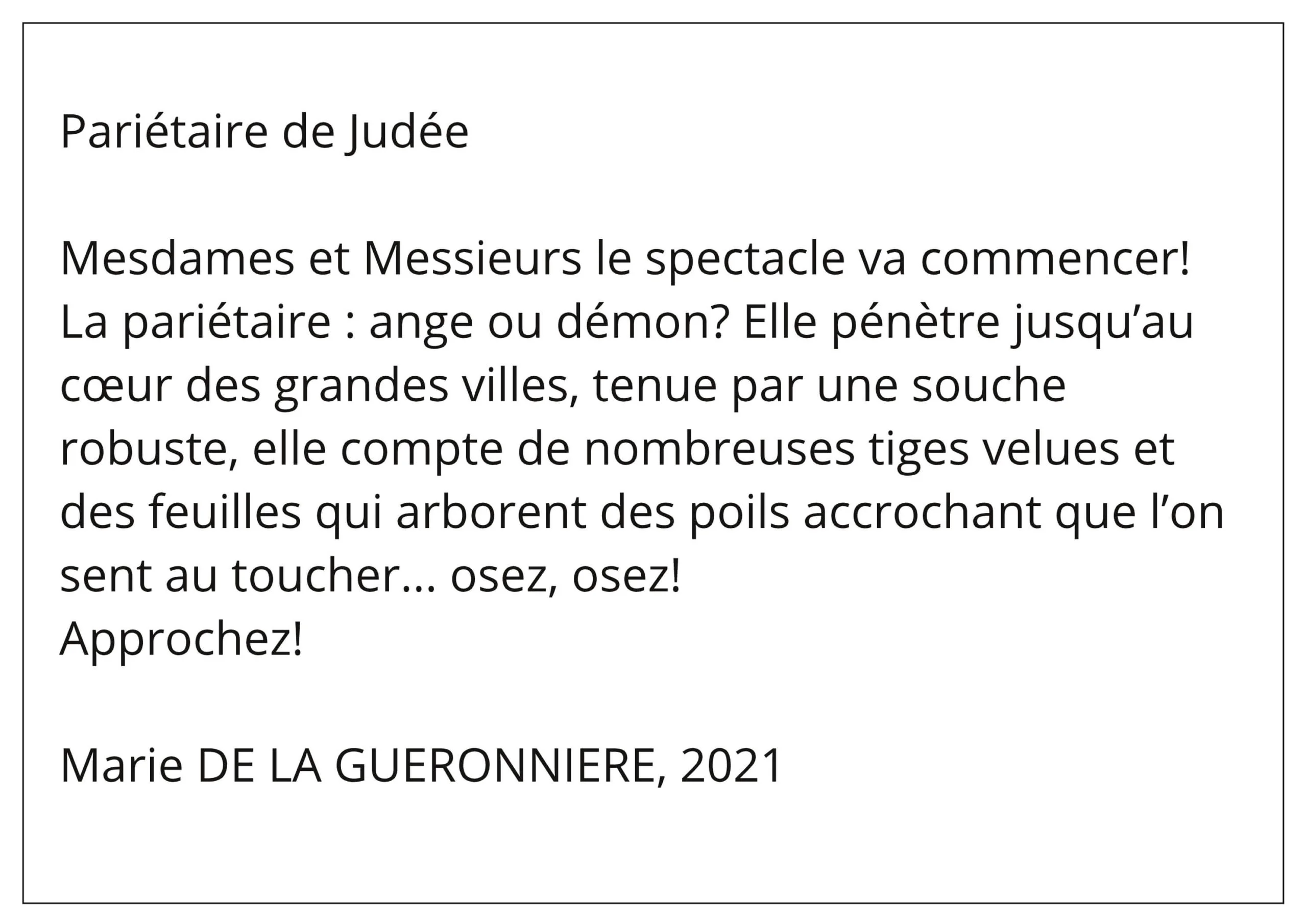 Texte "Théatre de verdure" 1 Marie de la Guéronnière